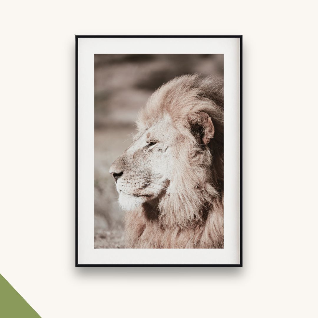 Lion in the Wild Kunstdruck Portrait eines Löwen auf strukturiertem Galeriepapier von Covea Nest.